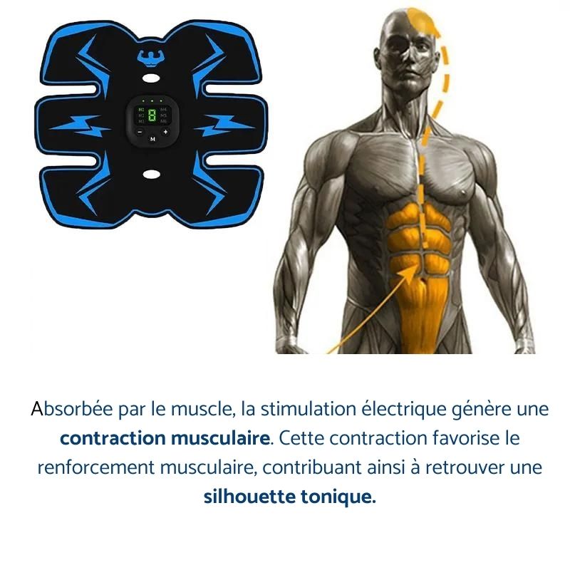 Electrostimulation belt